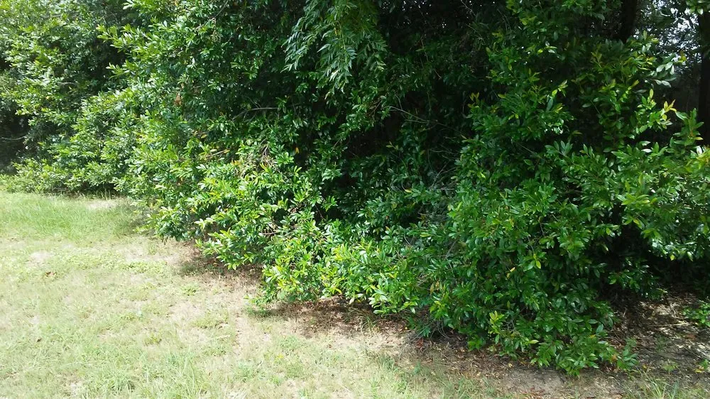 Trusted landscape installation for residential properties across Phenix City, AL - Farris Outdoors