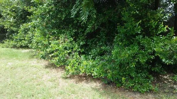 Farris Outdoors Logo