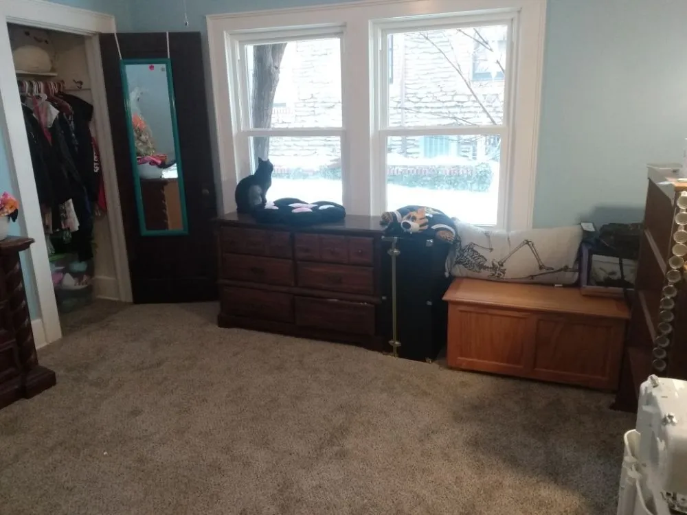 Professional landscaping services for beautiful yards across Akron, NY - F&A's Easy Clean and Landscaping