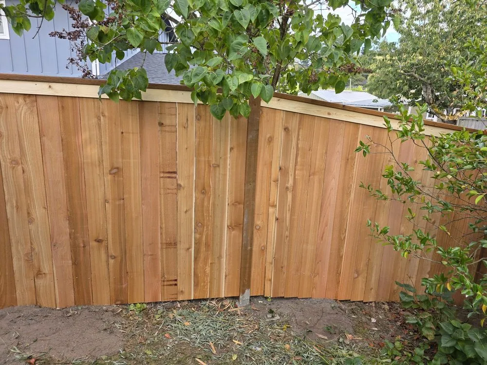 Professional landscaping services experts serving Bellevue, WA - Fascination  Garden