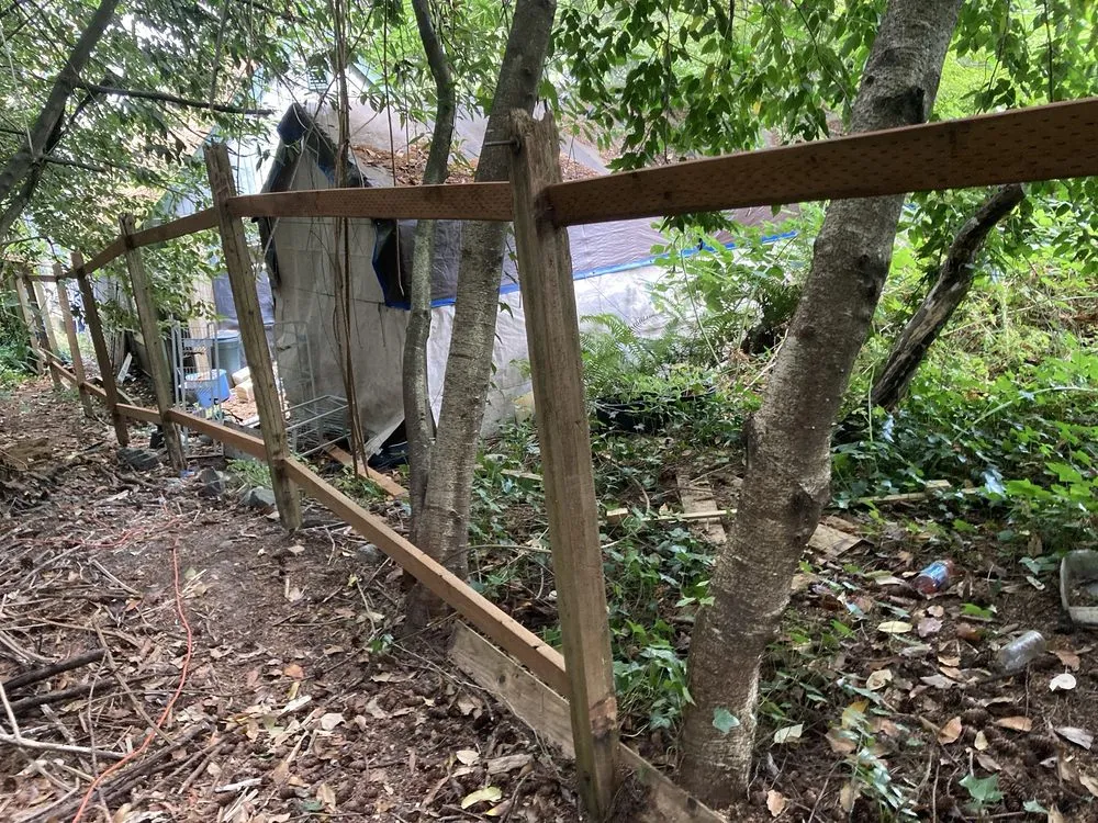 Professional landscape design near you across Everett, WA - Fascination Garden