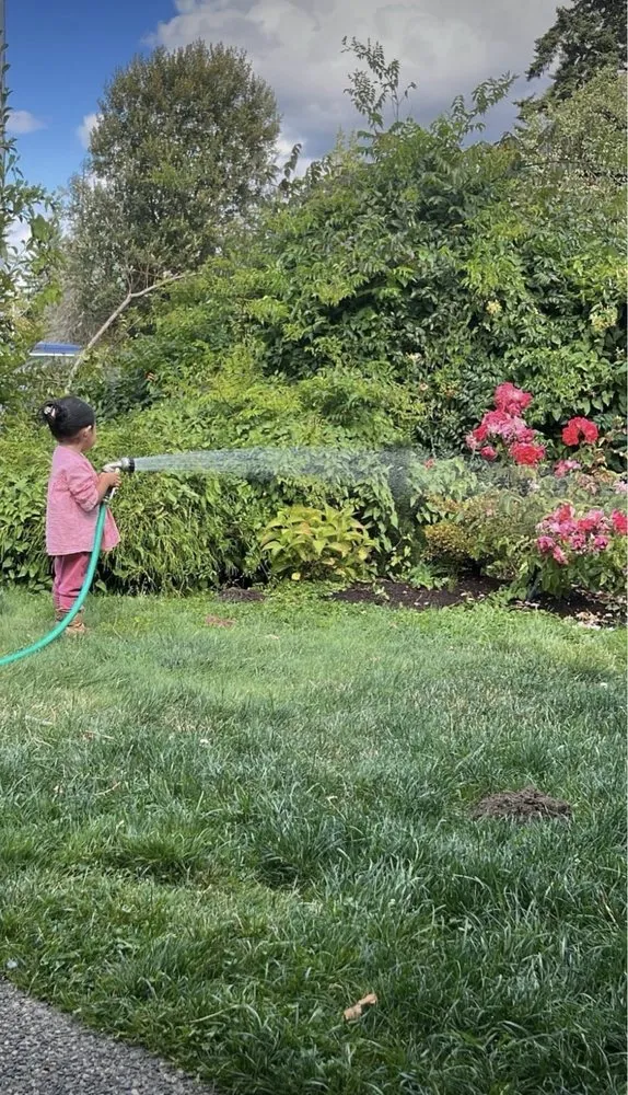 Trusted landscape installation in Everett, WA - Fascination Garden