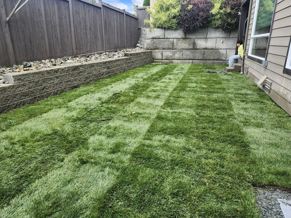 Reliable landscape installation in Everett, WA - Fascination Landscaping
