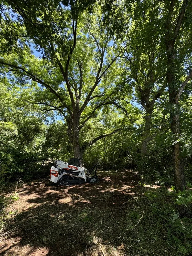 Professional yard cleanup service in Poteau, OK - Fassio Land Solutions