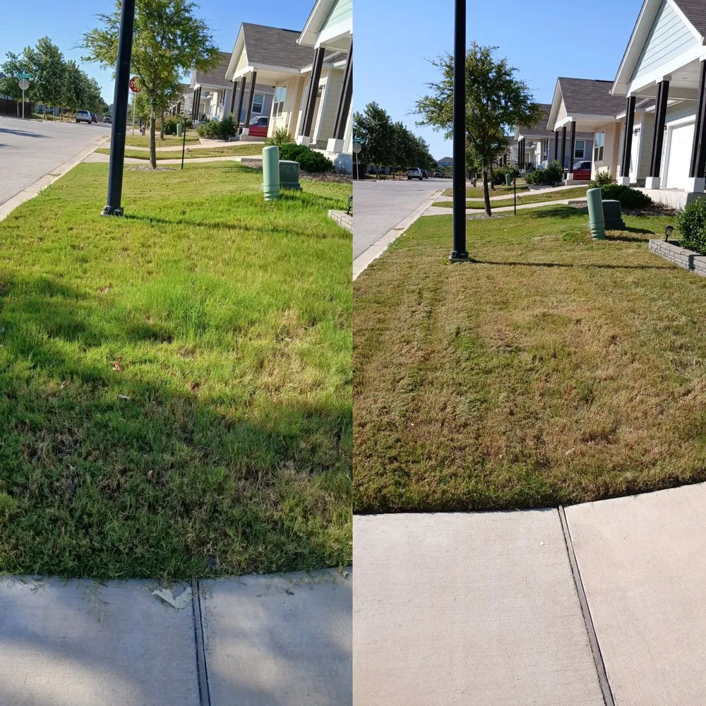 Custom lawn mowing service in Manor, TX - Fast accurate & Cheap lawn service