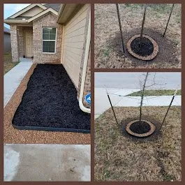 Custom yard maintenance in Manor, TX - Fast accurate & Cheap lawn service