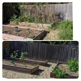 Trusted residential landscaping with custom design in Manor, TX by Fast accurate & Cheap lawn service