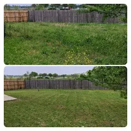 Local landscape design in Manor, TX by Fast accurate & Cheap lawn service