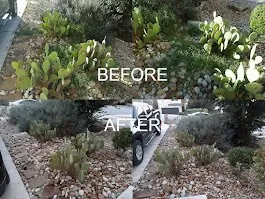 Trusted landscape design near you across Manor, TX - Fast accurate & Cheap lawn service