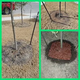 Trusted residential landscaping in Manor, TX by Fast accurate & Cheap lawn service