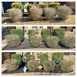 Expert lawn mowing service in Manor, TX by Fast accurate & Cheap lawn service