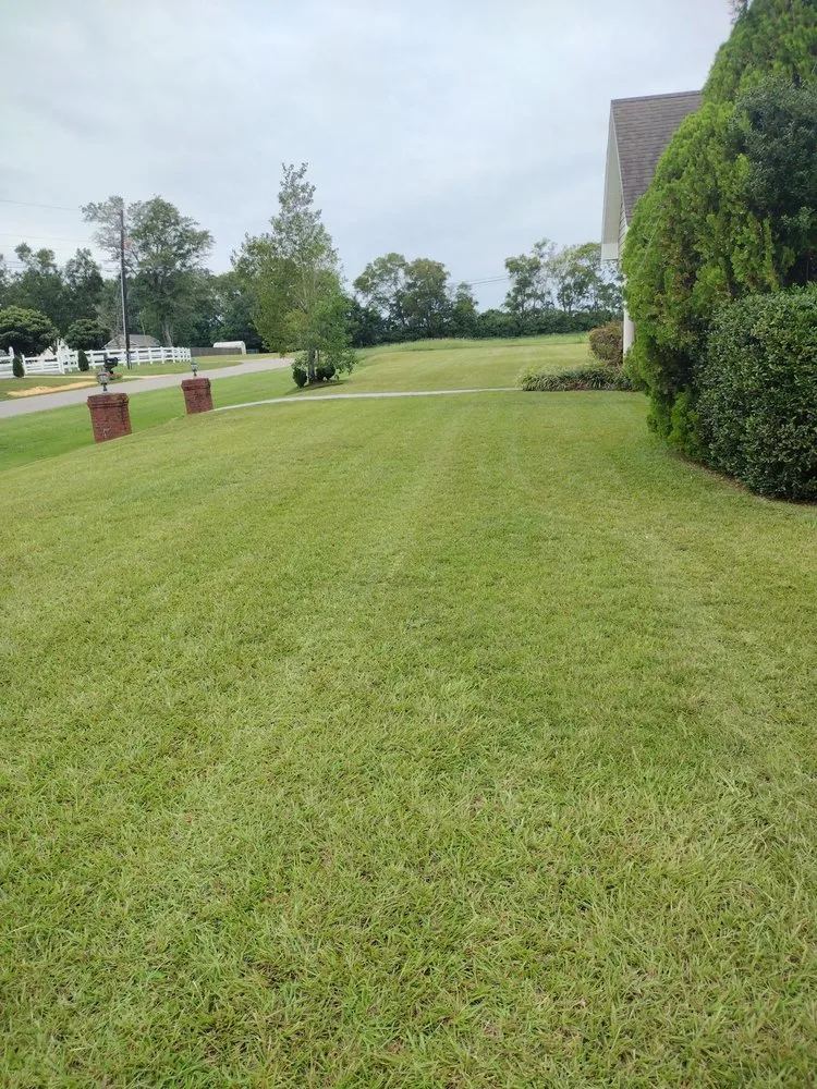 Affordable lawn mowing service with custom design across Dothan, AL - Fast Cut Lawn Service