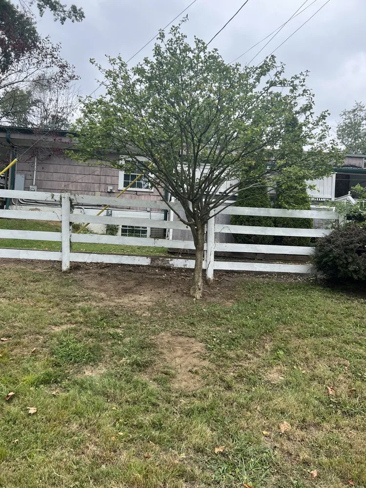 Expert landscape installation experts serving Louisville/Jefferson County metro government (balance), KY - Fast Eddie Services