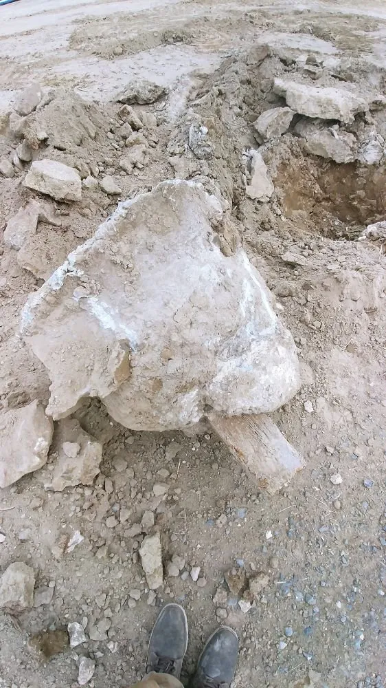 Expert yard maintenance experts serving Yakima, WA - Fast Eddy's Excavating