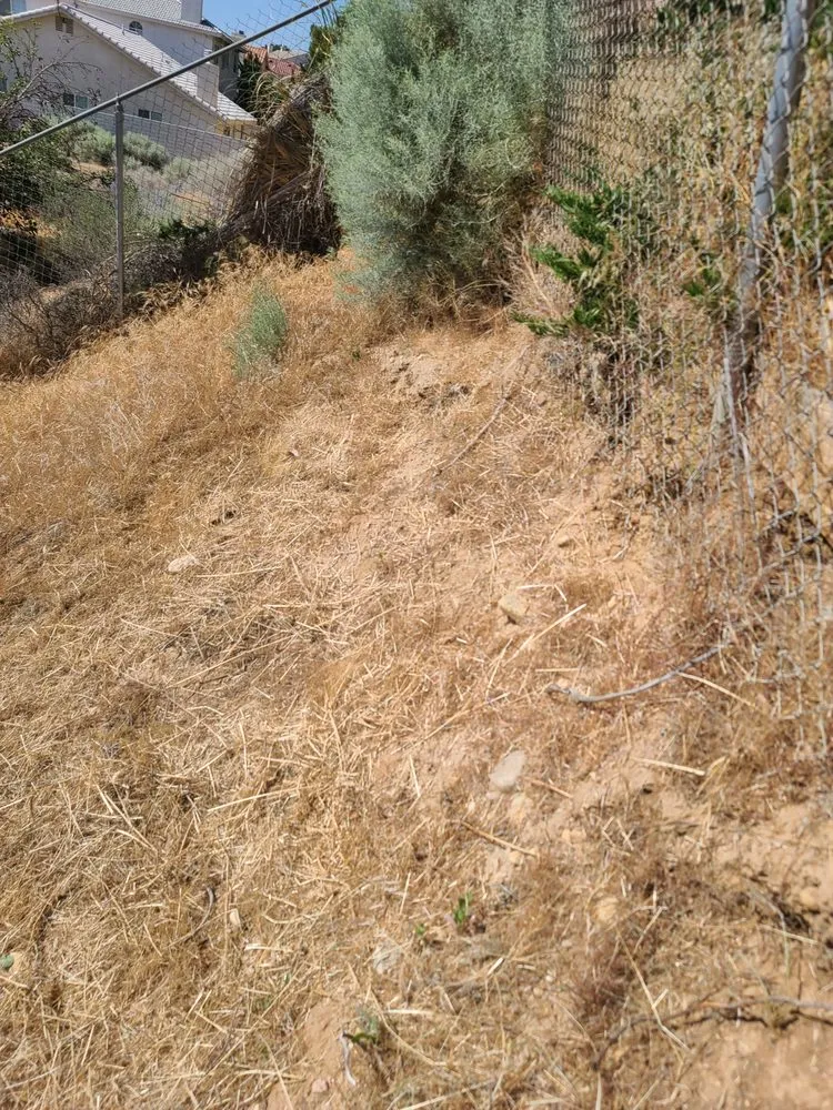 Local lawn care service experts serving Adelanto, CA - Fast Edge Lawn Care and Landscape