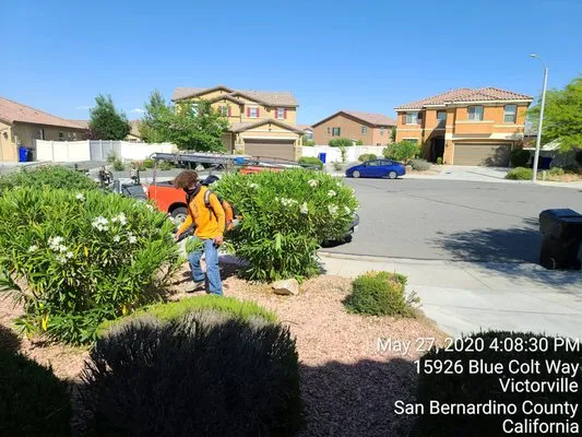 Fast Edge Lawn Care and Landscape