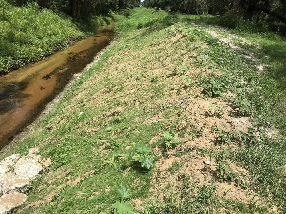 Top-rated residential landscaping in Sarasota, FL by Fast Grass LLC