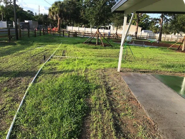 Custom yard maintenance with custom design across Sarasota, FL - Fast Grass LLC