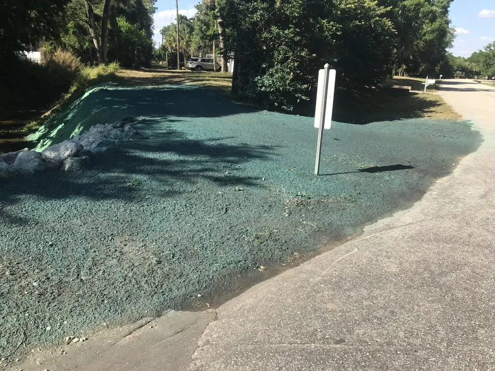 Trusted yard cleanup service in Sarasota, FL by Fast Grass LLC