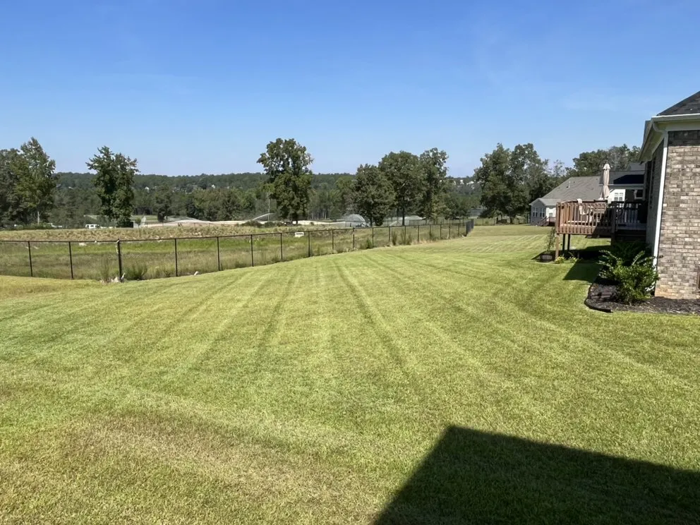Custom lawn care service in West Columbia, SC - Fast Lane Landscaping