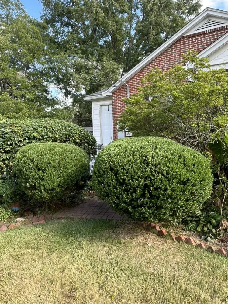 Custom landscape installation in West Columbia, SC - Fast Lane Landscaping