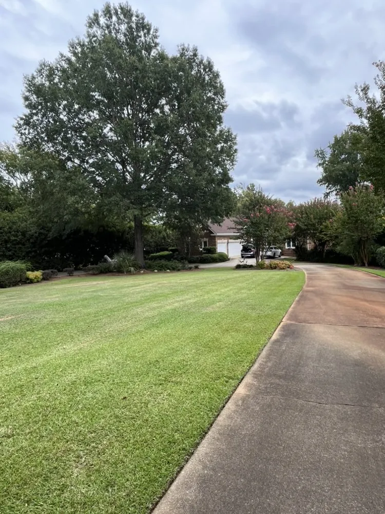 Local lawn mowing service for year-round maintenance in West Columbia, SC by Fast Lane Landscaping