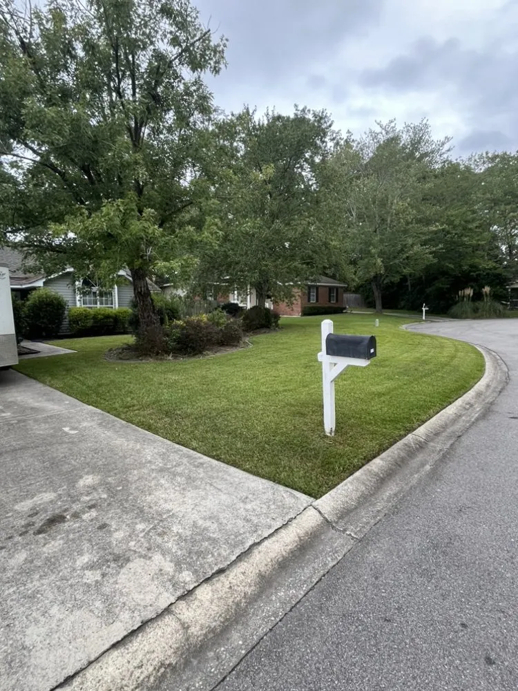 Top-rated garden landscaping in West Columbia, SC - Fast Lane Landscaping