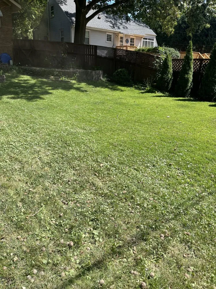 Top-rated lawn care service experts serving Bloomington, IL - Fast Lane Lawn Care