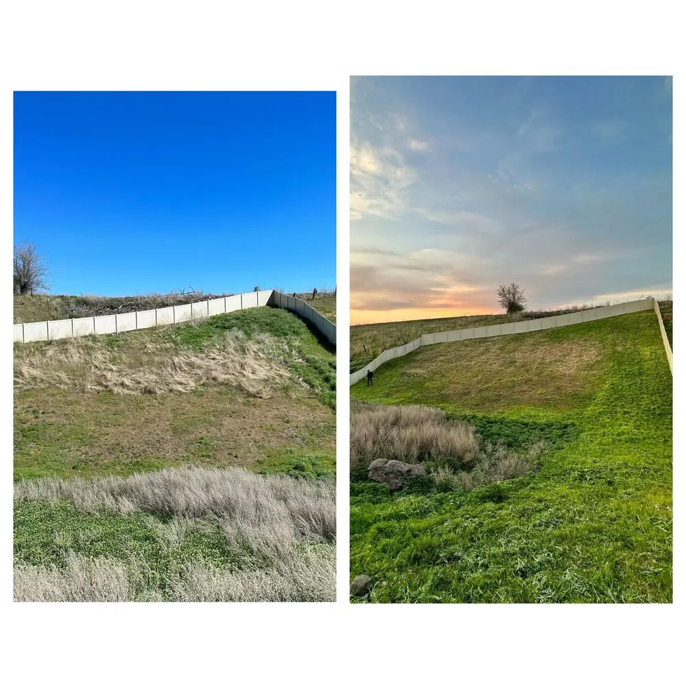 Affordable yard cleanup service for beautiful yards across Valleyford, WA - Fast Lane Lawn