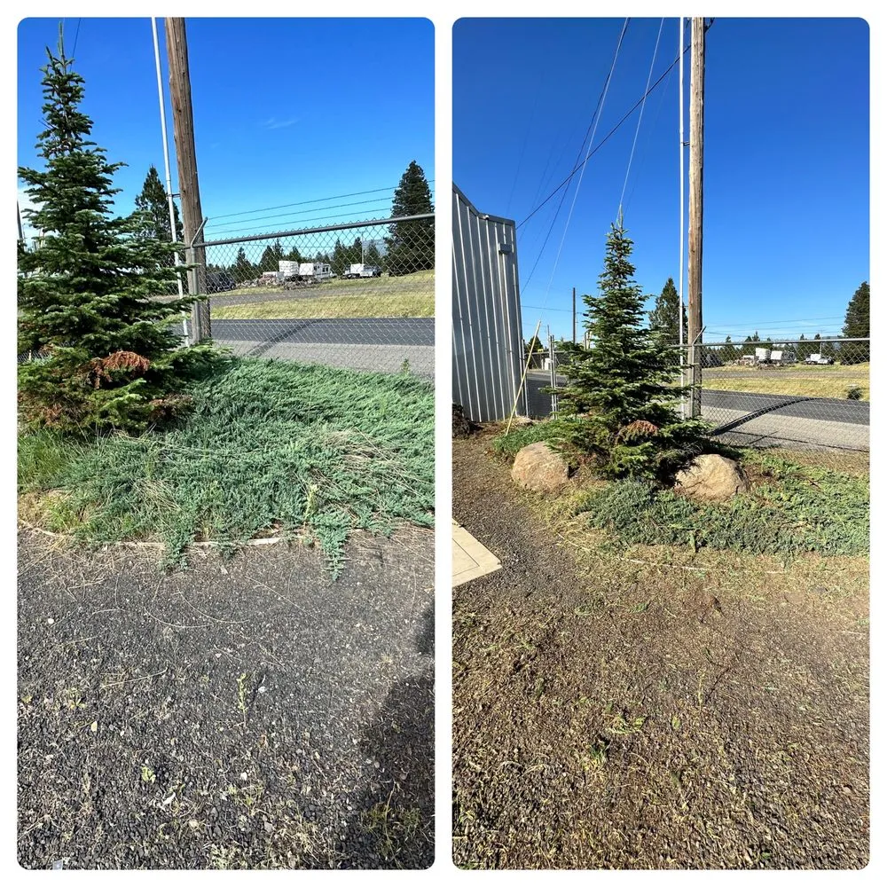 Professional yard cleanup service near you across Valleyford, WA - Fast Lane Lawn