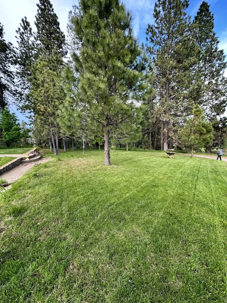Professional lawn mowing service experts serving Valleyford, WA - Fast Lane Lawn