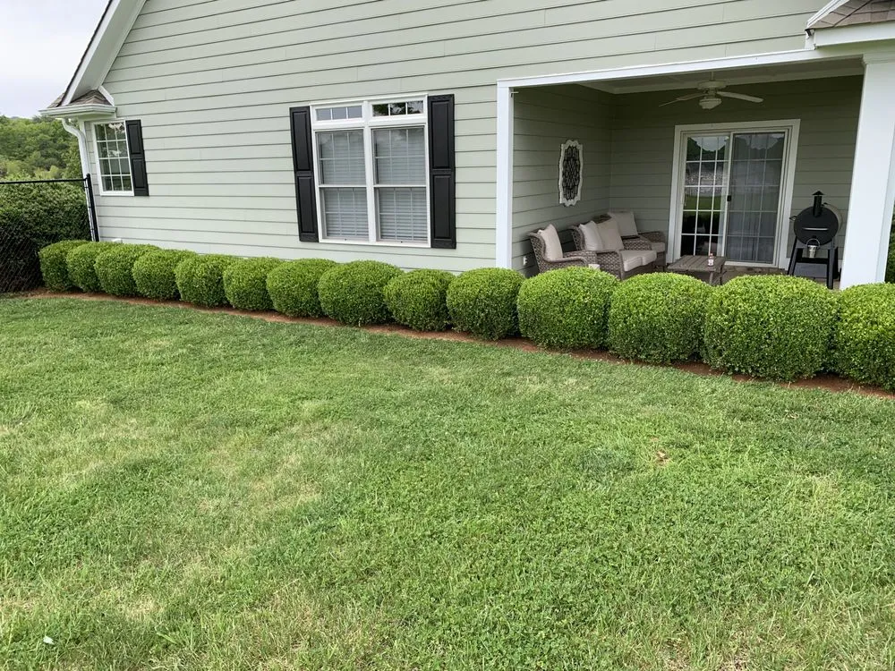 Top-rated residential landscaping for residential properties in ROANOKE, VA by Fast Lane Mowing