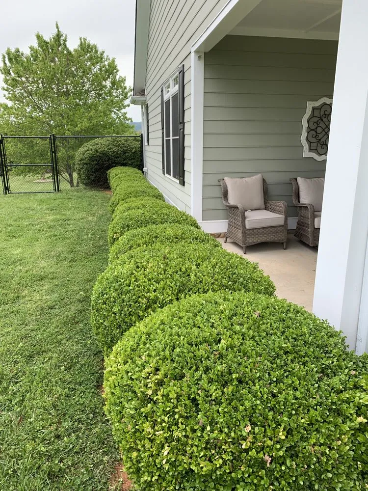 Affordable lawn care service in ROANOKE, VA - Fast Lane Mowing