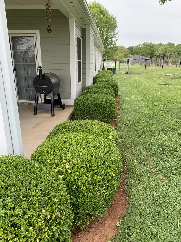 Reliable yard maintenance for homes across ROANOKE, VA - Fast Lane Mowing