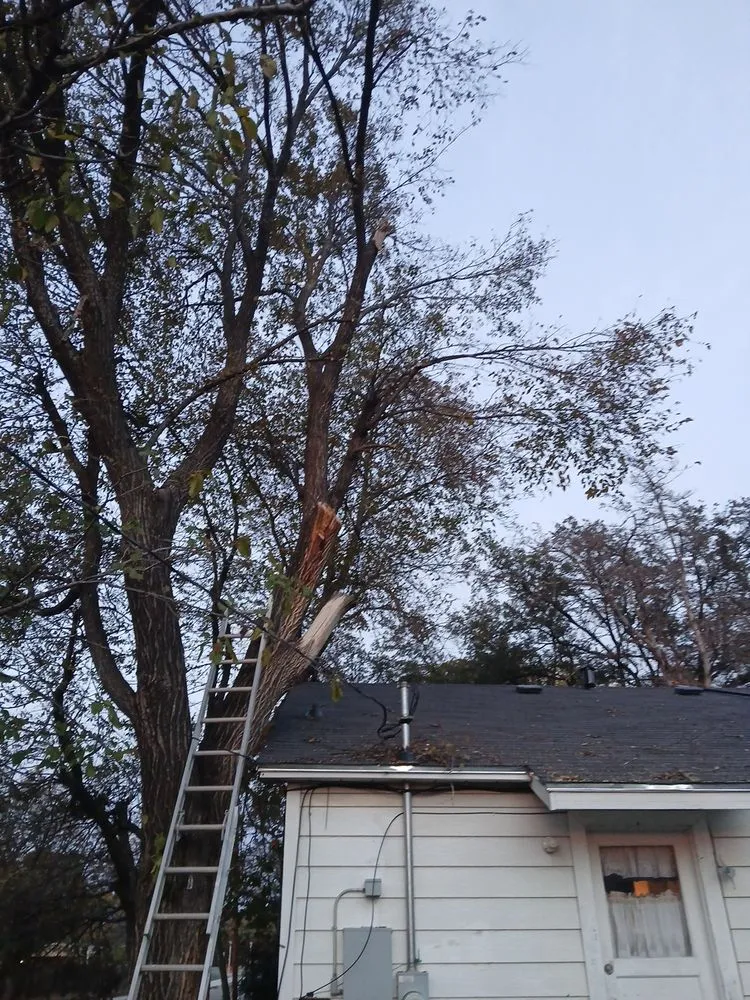 Custom garden landscaping for residential properties across Robinson, TX - Fast Lawn And Tree Service