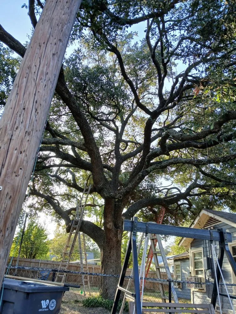 Reliable yard maintenance in Robinson, TX by Fast Lawn And Tree Service