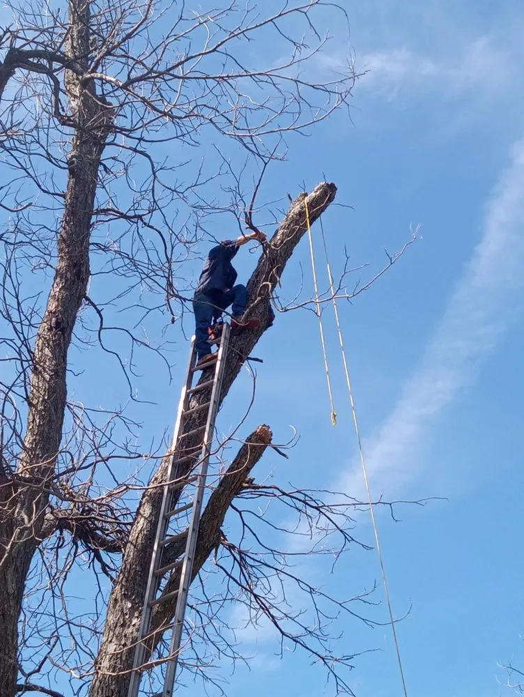 Trusted outdoor landscaping in Robinson, TX - Fast Lawn And Tree Service