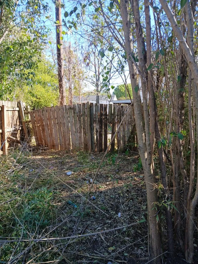 Top-rated yard cleanup service experts serving Robinson, TX - Fast Lawn And Tree Service