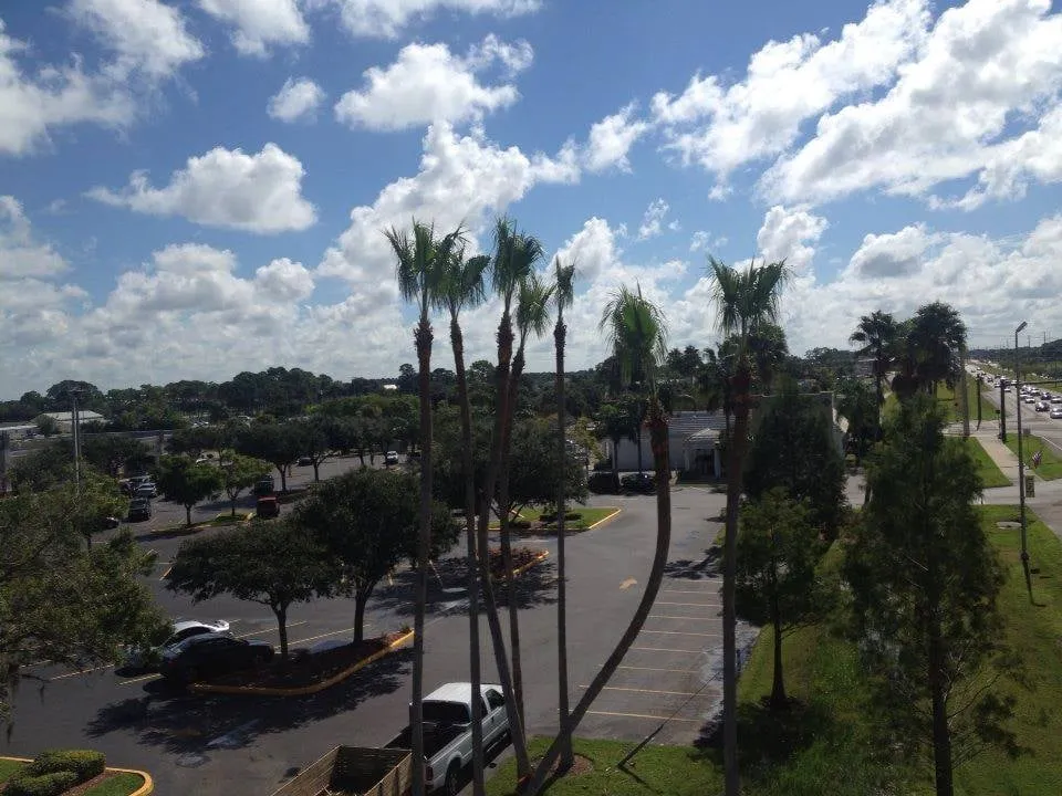 Expert residential landscaping in Palmetto, FL - Fast Lawnscapes