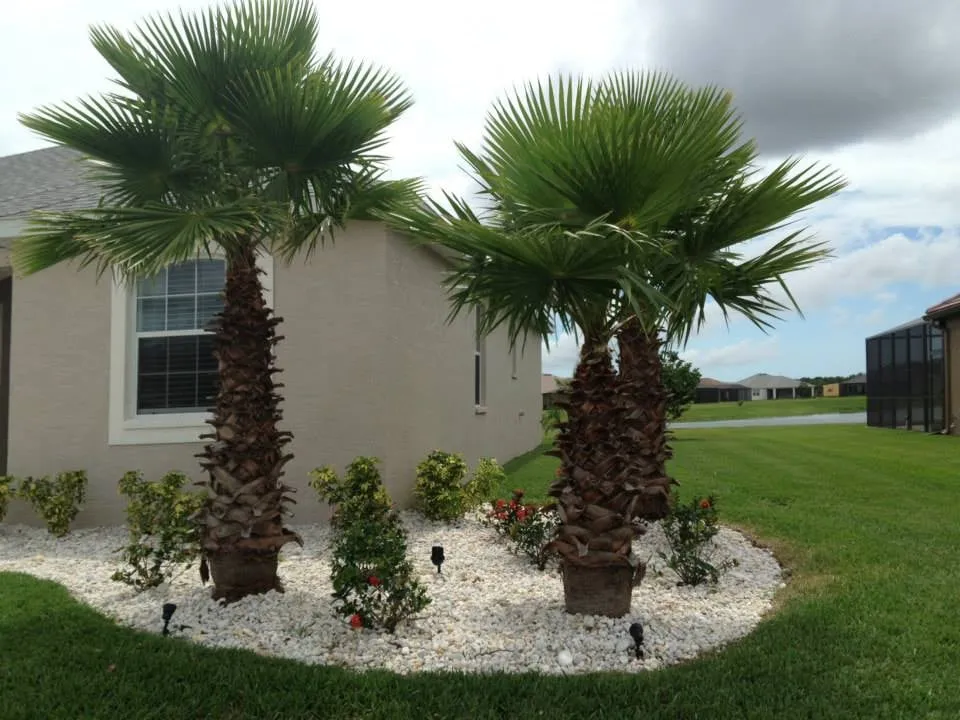 Affordable residential landscaping for outdoor upgrades across Palmetto, FL - Fast Lawnscapes