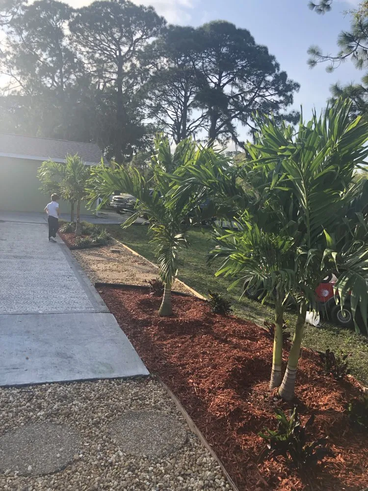 Professional yard cleanup service with custom design in Palmetto, FL by Fast Lawnscapes
