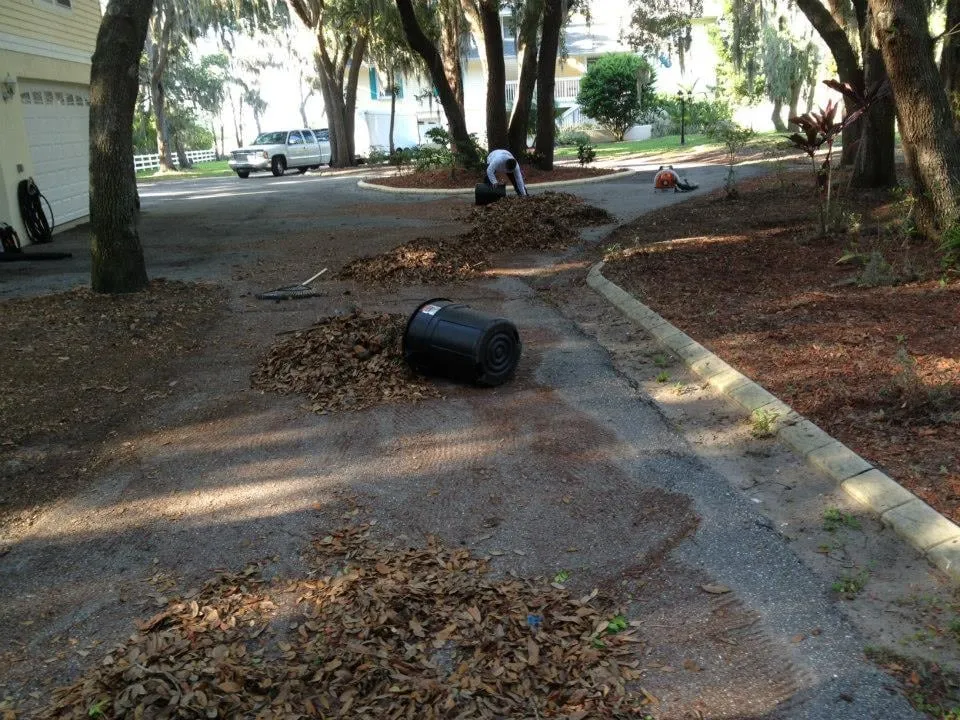 Expert landscaping services in Palmetto, FL - Fast Lawnscapes