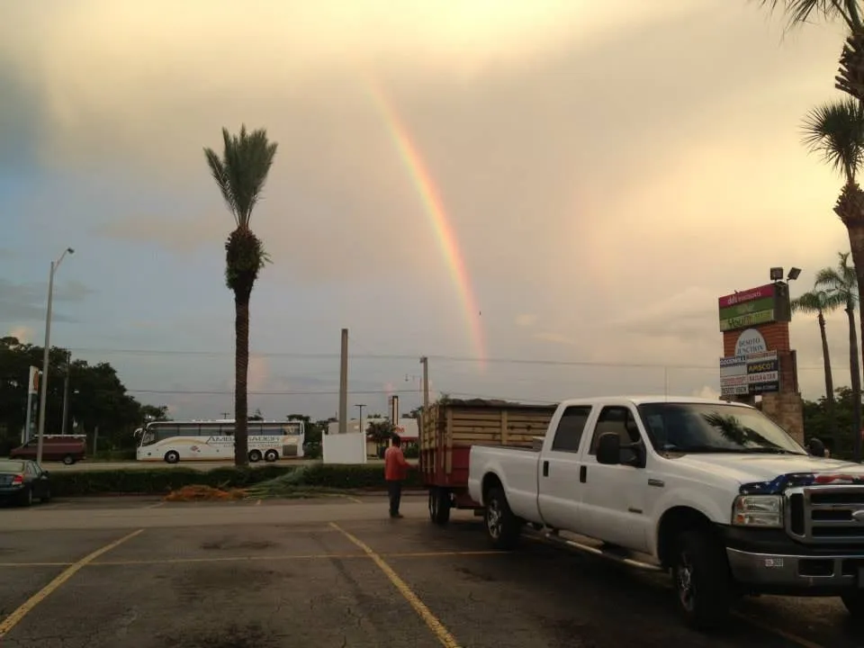 Reliable lawn care service with custom design across Palmetto, FL - Fast Lawnscapes