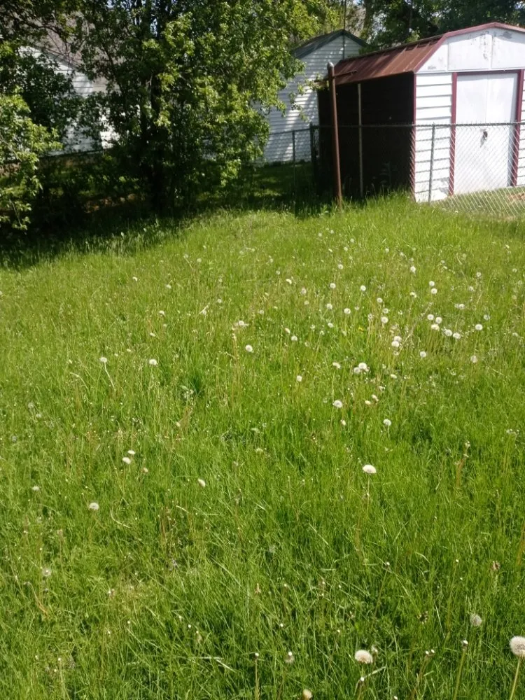 Top-rated residential landscaping in Flint, MI by Fast N EZ Lawncare & Cleaning