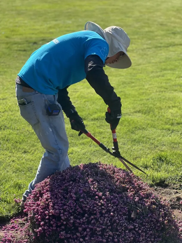 Affordable garden landscaping in Bellingham, WA by Fast Pace Services