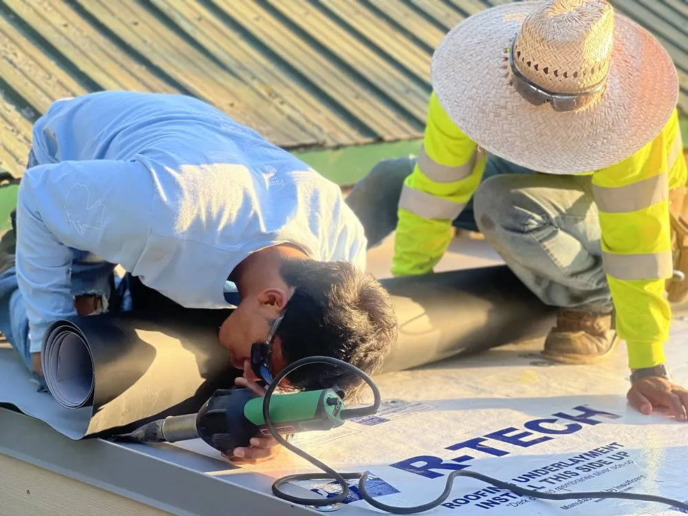 Affordable lawn care service in Bellingham, WA by Fast Pace Services