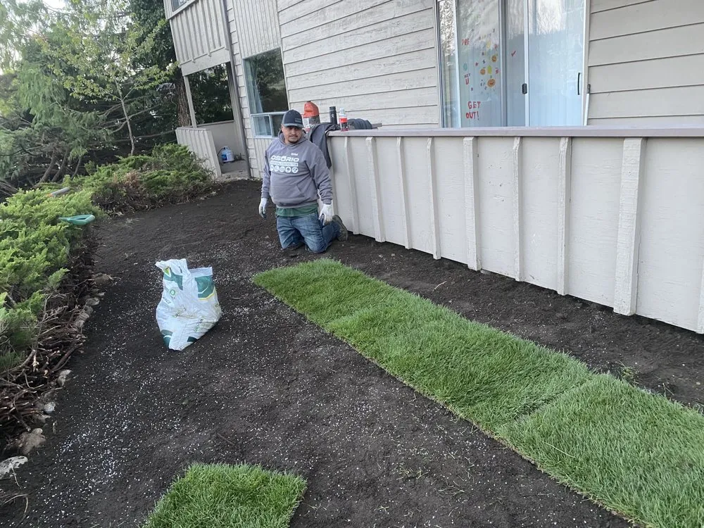 Top-rated outdoor landscaping in Bellingham, WA by Fast Pace Services