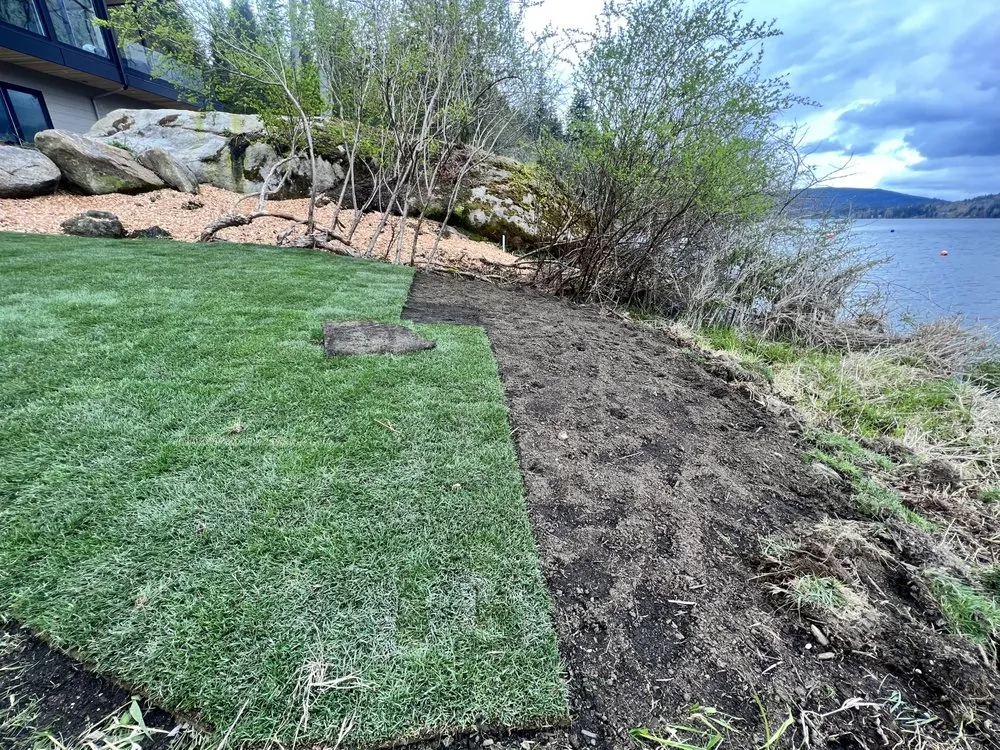 Professional yard cleanup service for outdoor upgrades across Bellingham, WA - Fast Pace Services