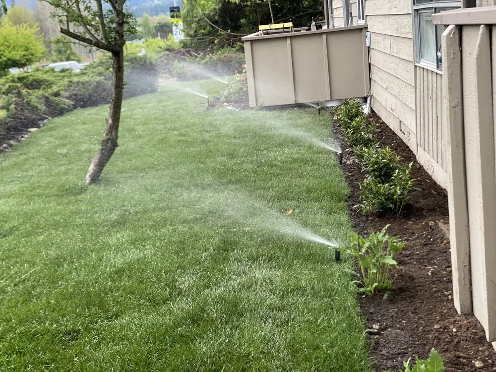 Professional landscaping services experts serving Bellingham, WA - Fast Pace Services
