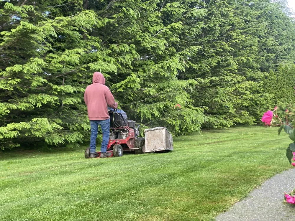 Affordable landscape installation near you across Bellingham, WA - Fast Pace Services